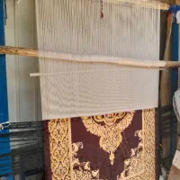 دار قالی و قالی