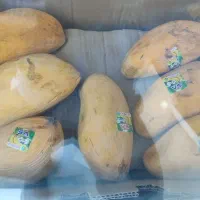 انبه