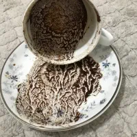 فال تخصصی قهوه و تاروت
