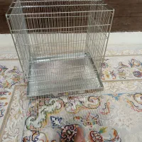 قفس