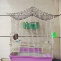 قفس مرغ عشق