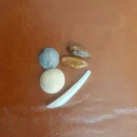 مهره اصل