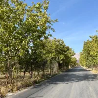 زمین 200متری جابان دماوند