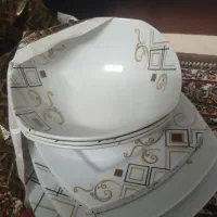 بشقاب ملامین ۱۰۰ تومن