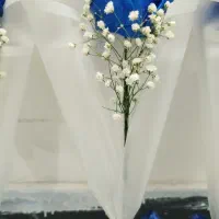 گل شاین دار