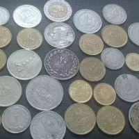 پلاک رنگ ثابت