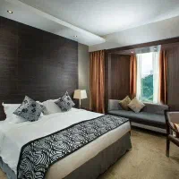 فروری سرپرست خانه داری .خدماتی .