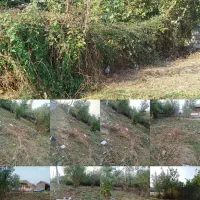 علفتراشی وچمنزنی وعلفزنی وتمشک زنی و لی زنی دستگاه