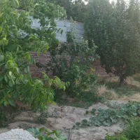 زمین-ویلای-باغی-و