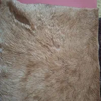 کتابت دعا ahu