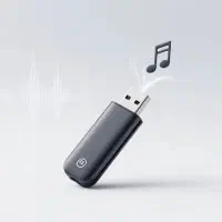 فلش و مموری با آهنگ‌ و فیلم وسریال های گلچین‌شده