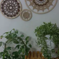 ماندالا دکوری