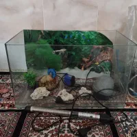 آکواریوم شیشه‌خم شرکتی