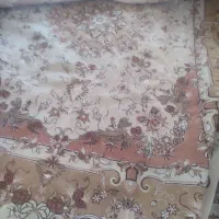 فرش کرم ۱۲متری
