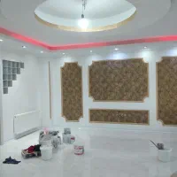 نقاش با تجربه