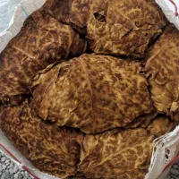 اصل تنباکو برازجانی بنیاد تند و دو مزه فروش عمده