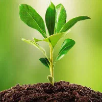 ترک اعتیاد در یزد با کمترین میزان درد