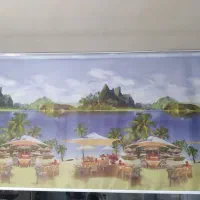 پرده  منظره زیبا