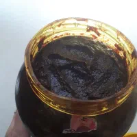 رب الوچه جنگلی