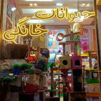 اسکرچر گربه  با کیفیت و کار چوب طبیعی