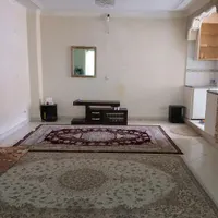 اجاره هفتگی وروزانه اپارنمان ۶۰ متری|اجارهٔ کوتاه‌مدت آپارتمان و سوئیت|تهران, شهید اسدی|دیوار