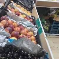 بامیه