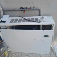 فن کوئل