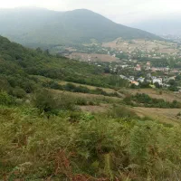 زمین-فروشی