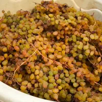 کشمش درجه یک شیرین دون درشت