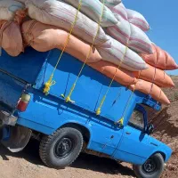 فروش کاه جودیم