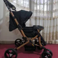 کالسکه دلیجان نو مدل بنیتا