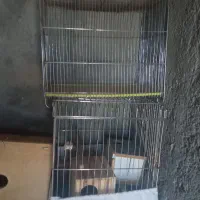 قفس معاوضه