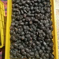 خریدار خرمای سبدی قیمت خوب