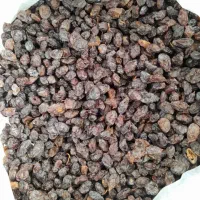 مویز دشمن زیاری و شیره انگور و...