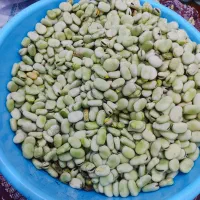 باقله|خوردنی و آشامیدنی|کارون, |دیوار