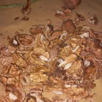 خشک بار|خوردنی و آشامیدنی|آبسرد, |دیوار