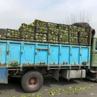 اتاق خاور چوب و فلز