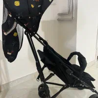 کالسکه عصایی کم کار