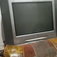 تلویزیون