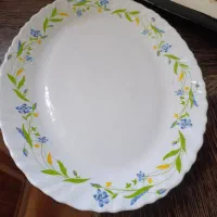 سرویس اماراتی 12 نفره