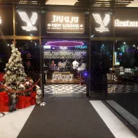 نیروی هاستس