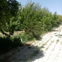 خونه باغ مبله بزنجان
