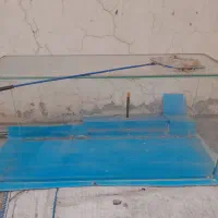 اکواریوم .قلاده