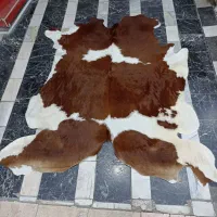 پوست گاوی ، پوست گاو دباغی شده