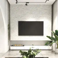 هم خانه خانم