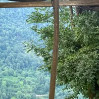 اشپز برای مسافرت شمال