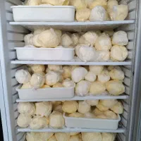 کره حیوانی گاوی