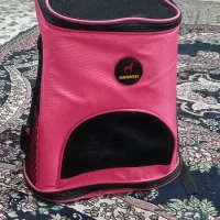 باکس حمل سگ