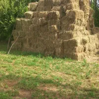 فروش یونجه پرس