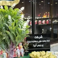کربلا  ظرفیت محدوداربعین